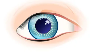 Dry Eye