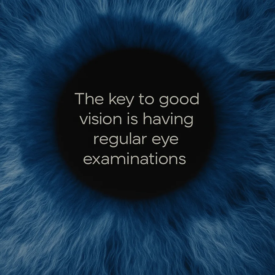 The key to good vision is having regular eye examinations